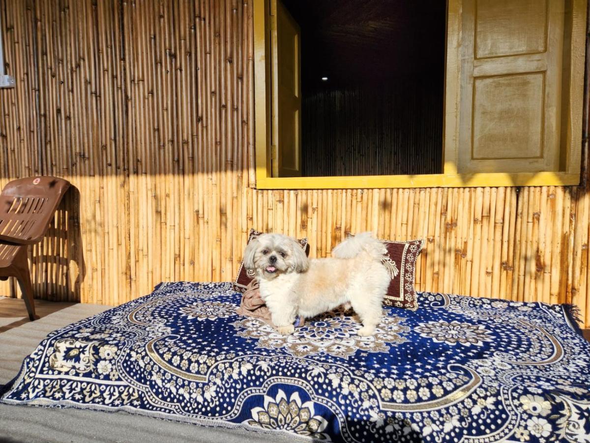 Pahaadi Dhun Homestay Chamba  Bagian luar foto