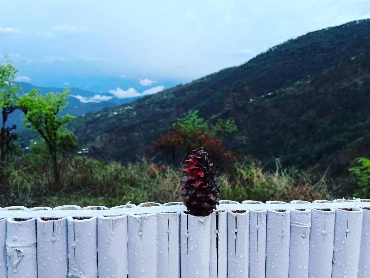Pahaadi Dhun Homestay Chamba  Bagian luar foto